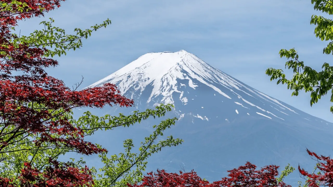Understanding Japanese Adjective Conjugation