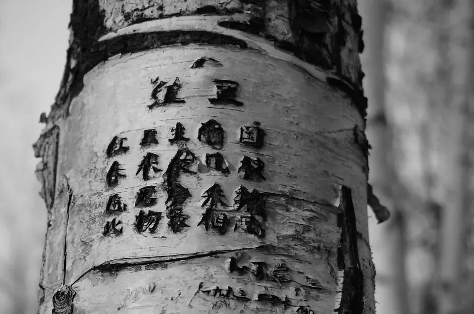5 Chinese Poems to Help Improve Your Reading Skills