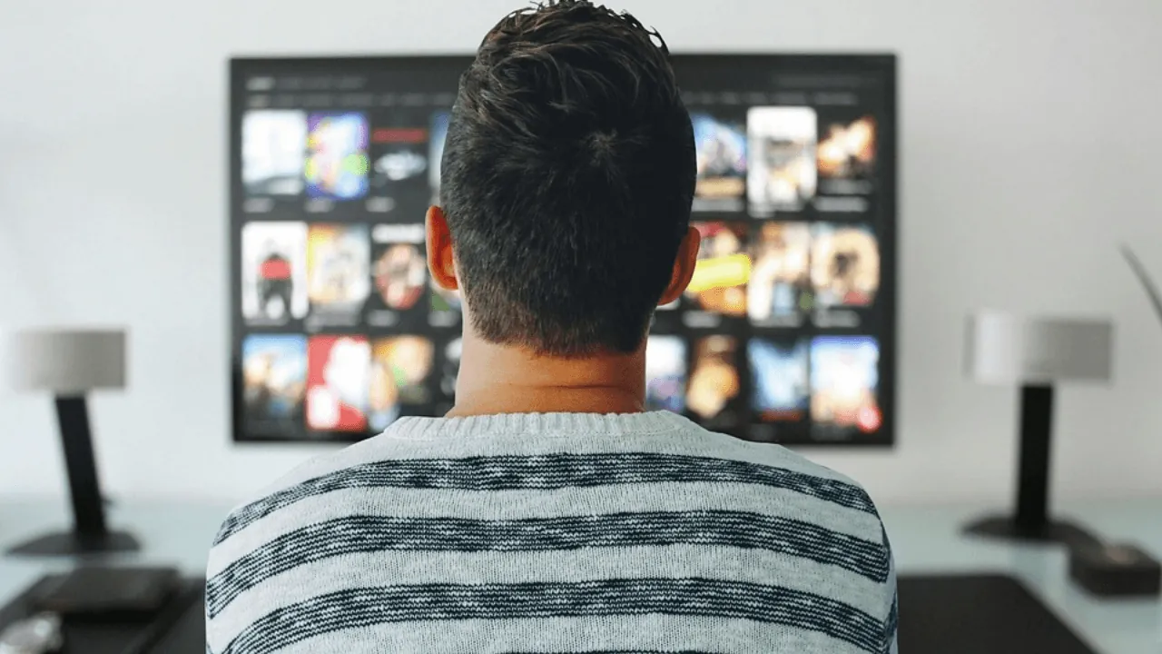 Language Learning with Netflix and LingQ