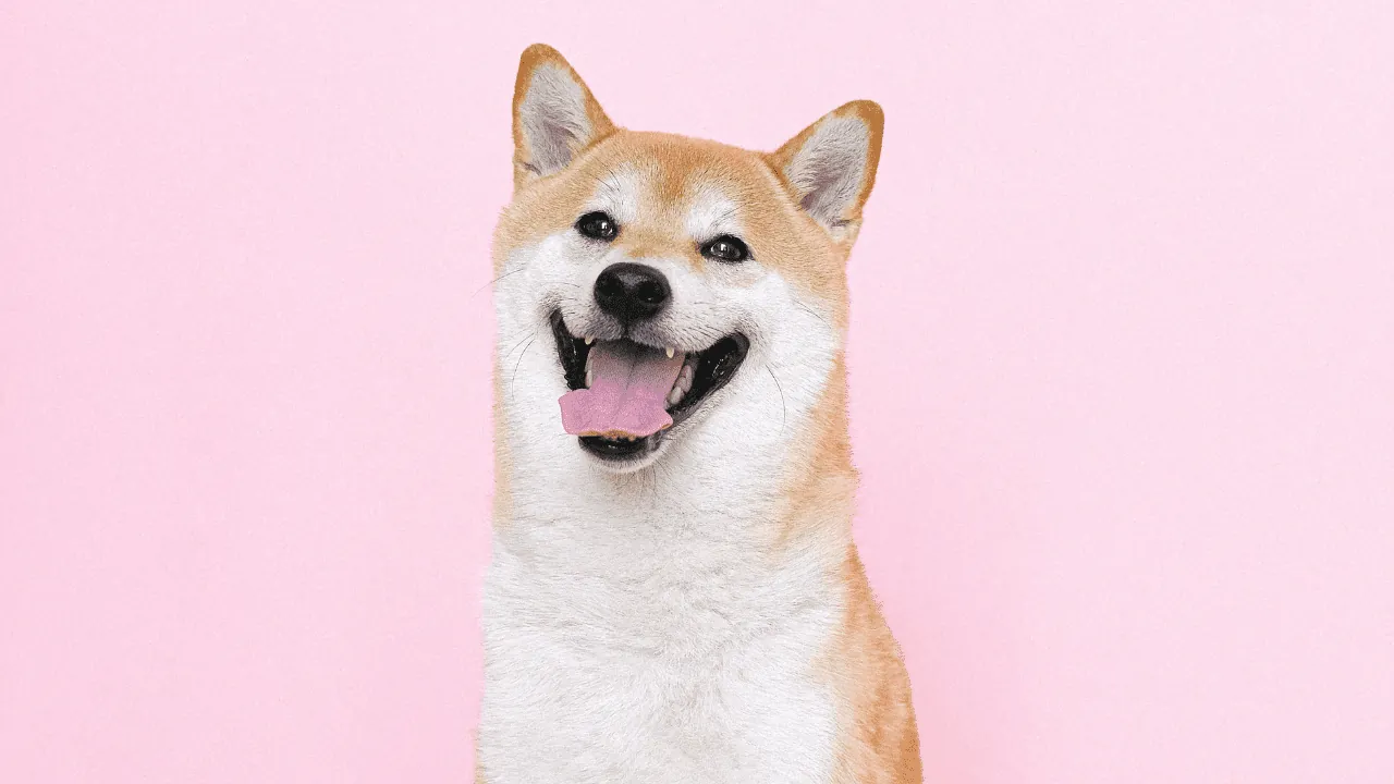 Cute Japanese Words You Ought to Know