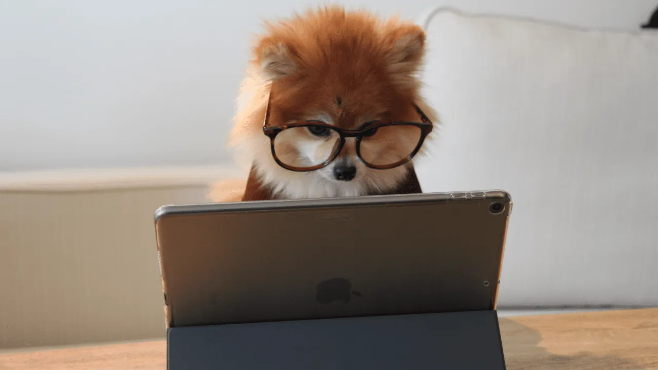The Fastest Way to Learn a Language: 8 LingQ Hacks!